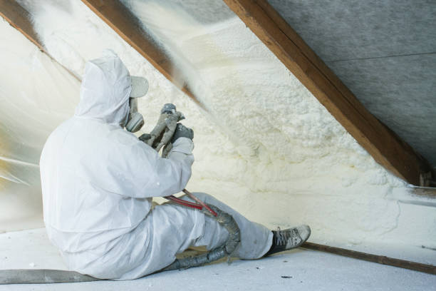 Best Attic Insulation Installation  in Ingalls Park, IL