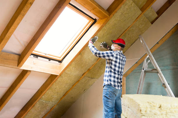 Best Attic Insulation Installation  in Ingalls Park, IL