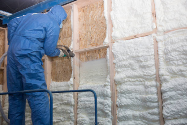 Best Insulation Air Sealing  in Ingalls Park, IL